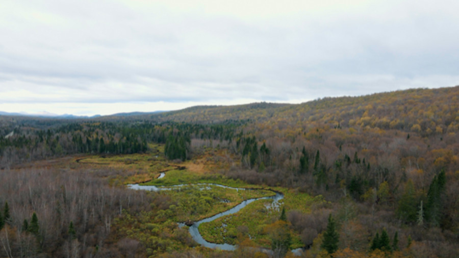 442 hectares de forêts acquis et protégés par Corridor appalachien à Eastman