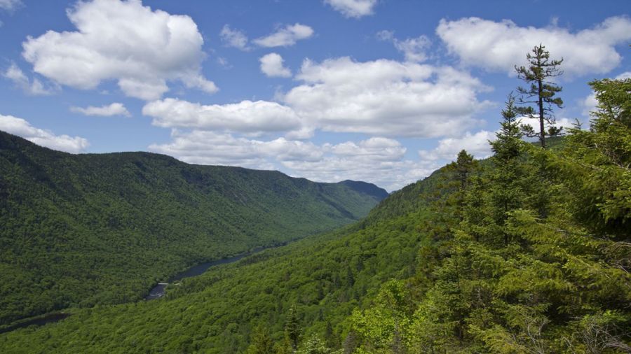 Destinations à voir sans les foules : Parc de la Jacques-Cartier