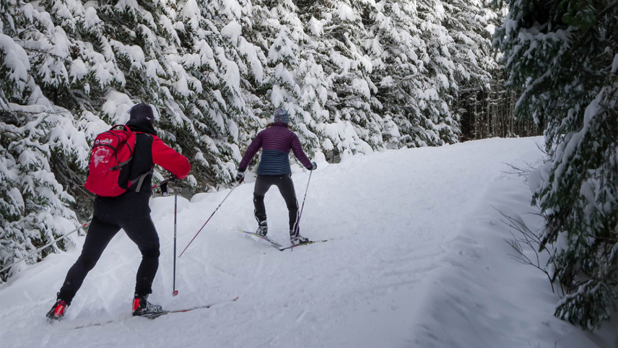 Le ski de fond malmené cet hiver