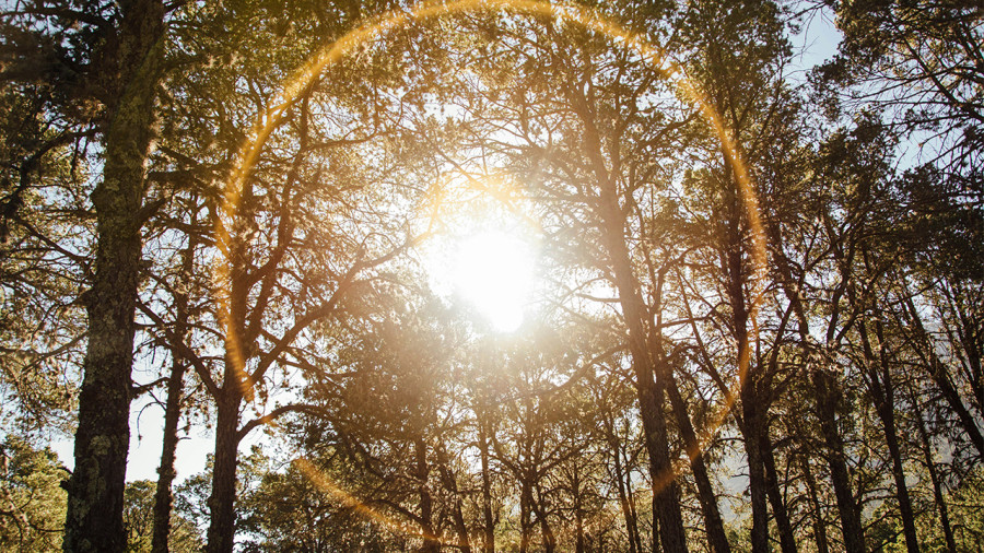 Fatigue, baisse de moral: la luminothérapie est-elle la solution contre la dépression saisonnière?