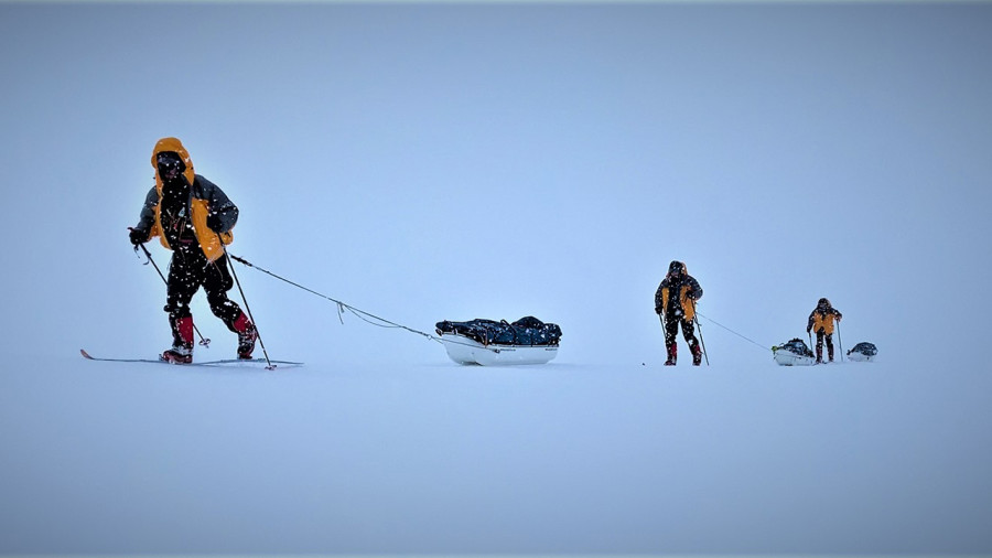 Expédition AKOR : trois humains à ski au royaume des ours polaires