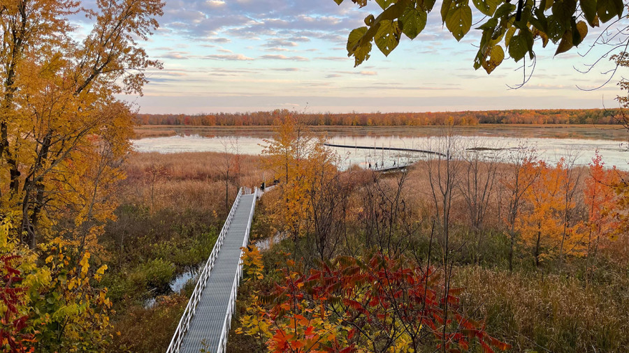 Une carte interactive pour suivre l’évolution des couleurs d’automne