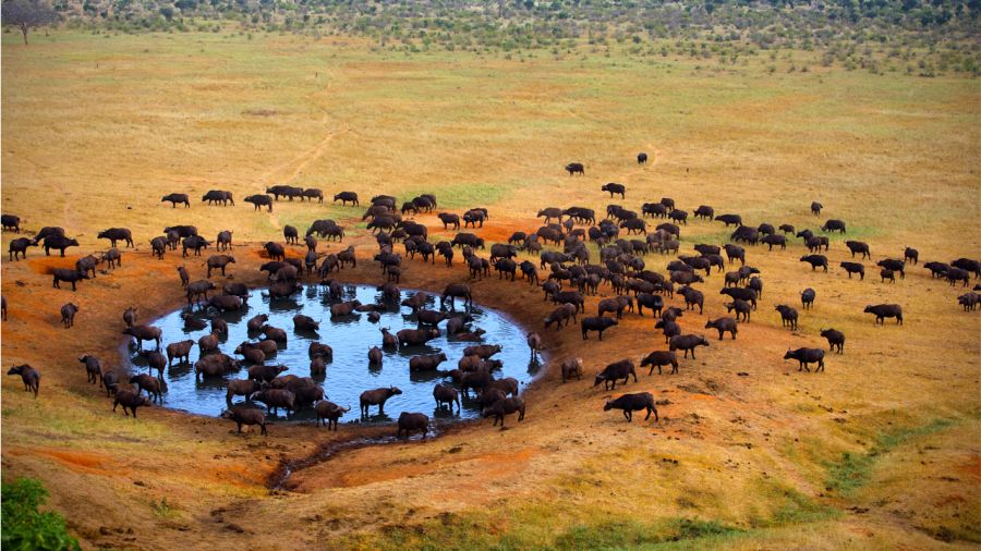 Le Kenya entre ciel et terre