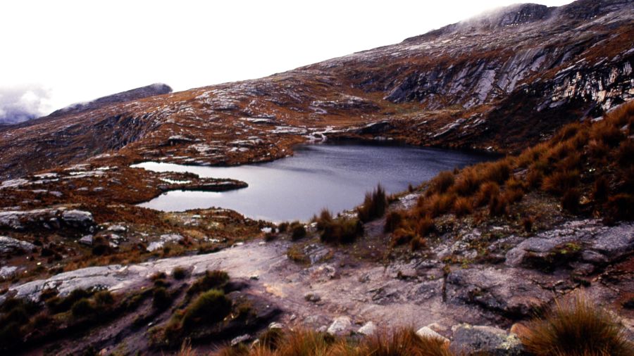 Pérou: le Santa Cruz Trek