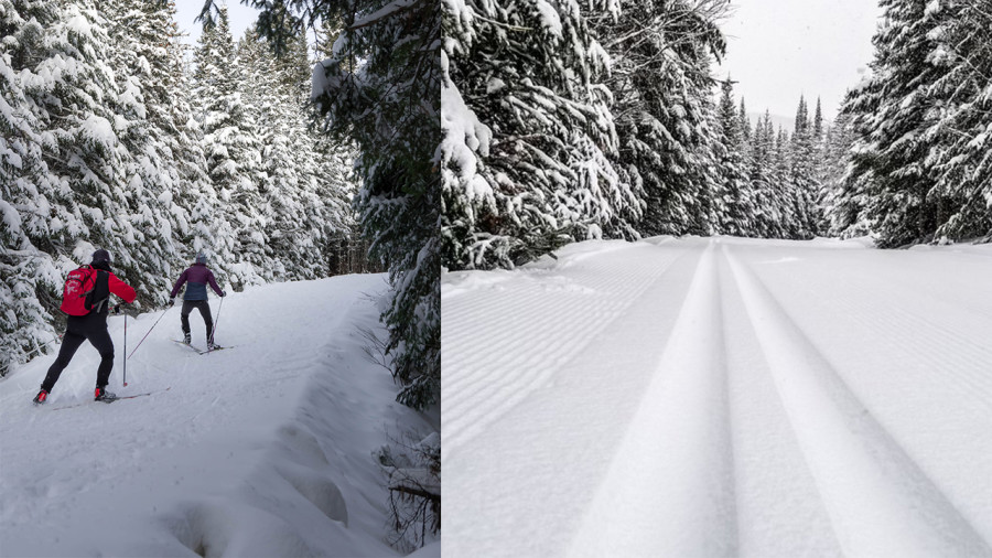 Le ski de fond (enfin!) de retour cet hiver à la Forêt Montmorency