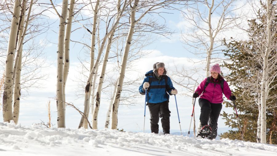 Parc national du Mont-Saint-Bruno : Un premier sentier de raquette