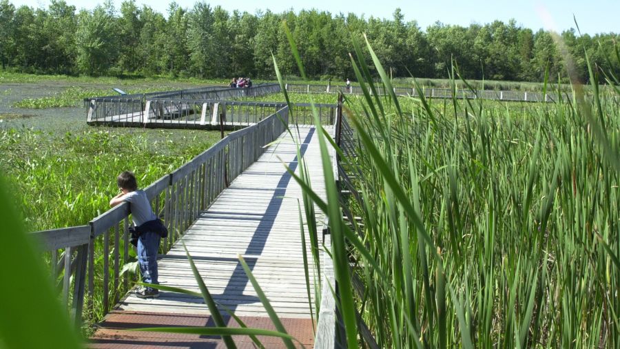 Outaouais: fluviales randonnées