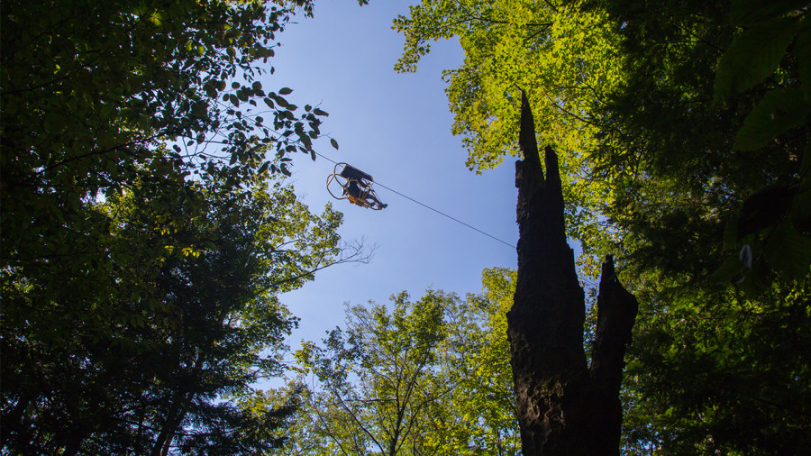 Pédaler au sommet des arbres: on a testé le VéloVolant en Estrie