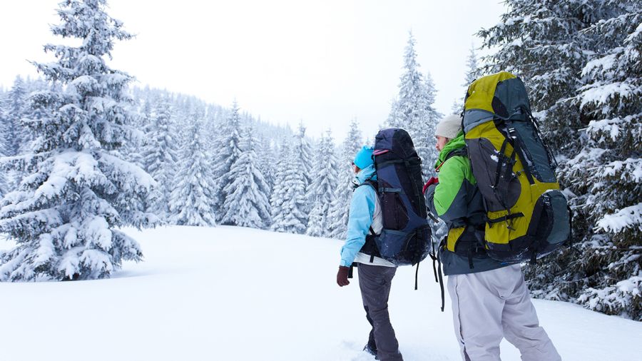 Camp Quatre Saisons et le mont Gorille