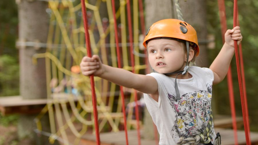 Tarzan etc. : D'Arbre en Arbre Drummondville