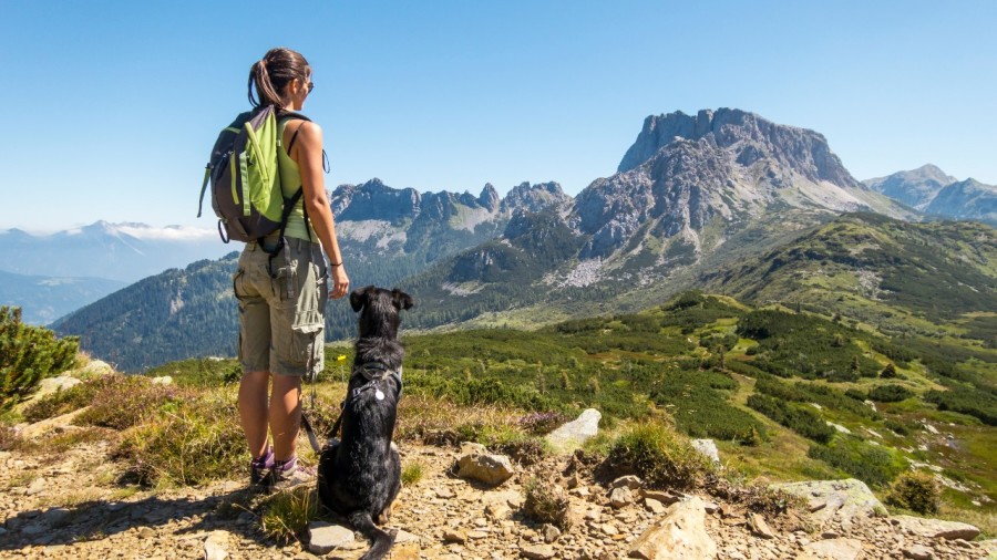 Dix conseils pour bien randonner avec son chien