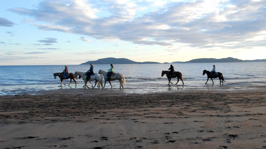 4 endroits où faire du cheval sur la plage au Québec