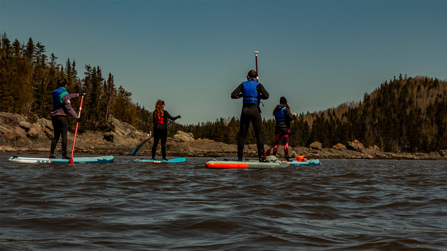 Des sorties guidées en SUP cet été au parc national du Bic