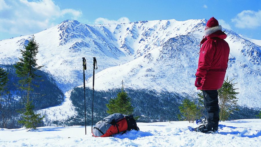 Pour les vacances de Noël… Choisissez votre camp!