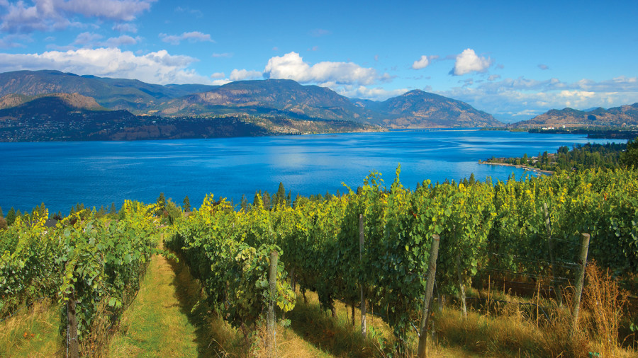 Tournée des vignobles de l’Okanagan à vélo