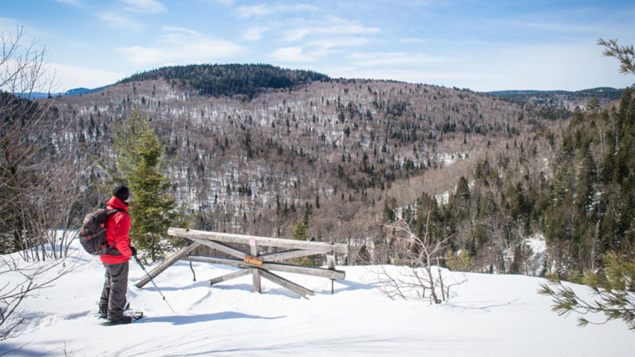 Le plein air autorisé cet hiver au Québec !