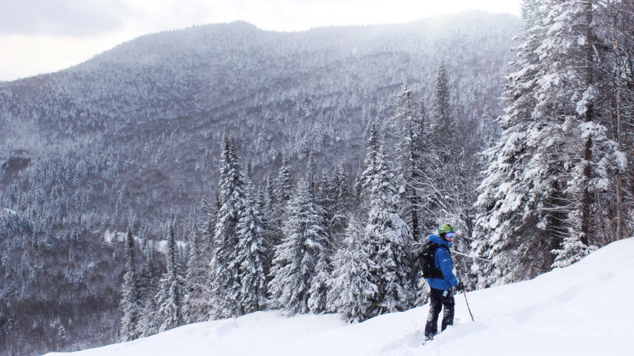 Quatre stations où vous initier au ski de randonnée