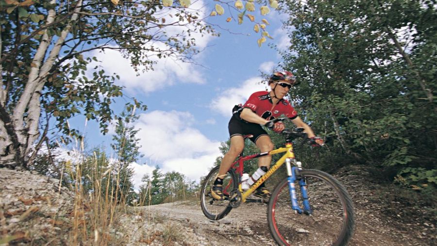 Vélo de montagne au parc de la Gatineau