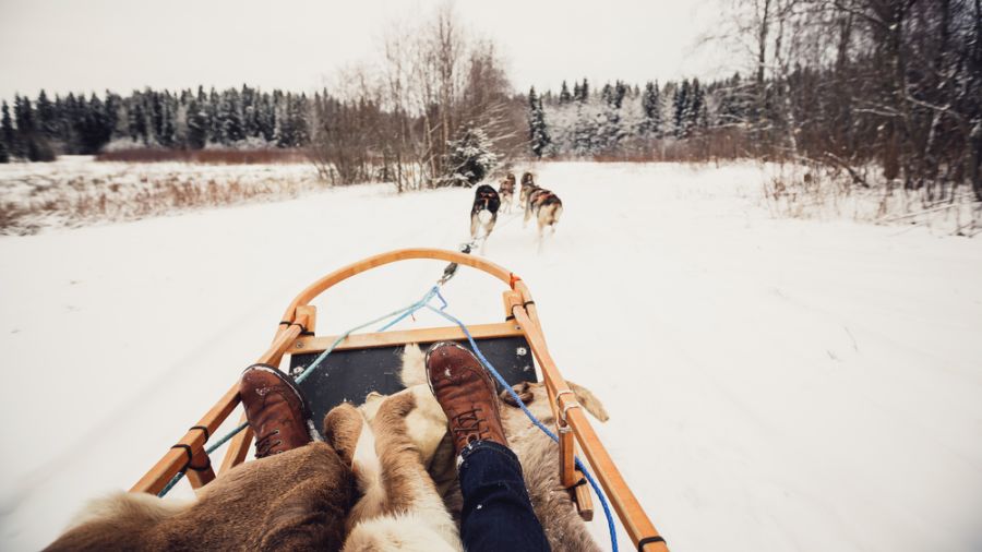 La route des fourrures en traîneau à chiens