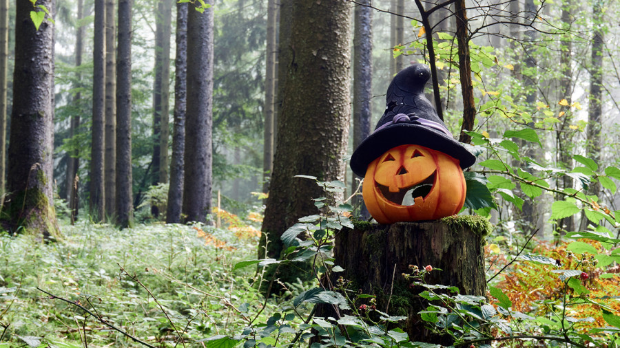 Halloween : 8 déguisements plein air et sportifs