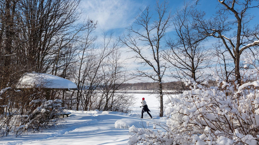 Montréal : le Grand parc de l’Ouest s'agrandit avec une nouvelle aire protégée