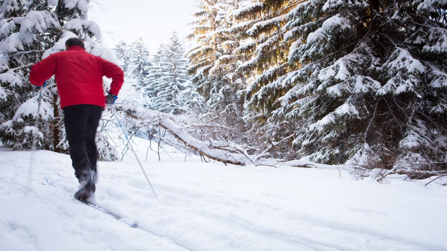 Parc national du Canada de la Mauricie : Ski de fond