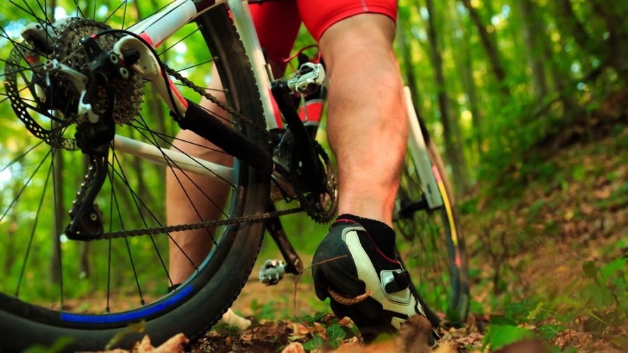 Vélo de montagne : Parc des Appalaches