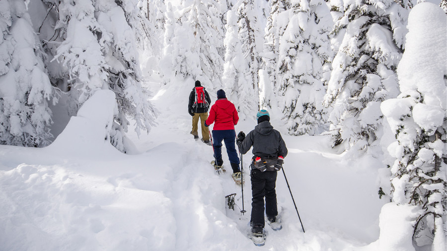 Les parcs nationaux du Québec seront gratuits deux jours par semaine cet hiver