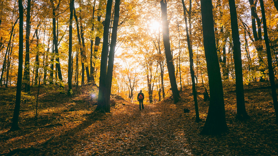 11 sentiers pour randonner sur les feuilles d’automne