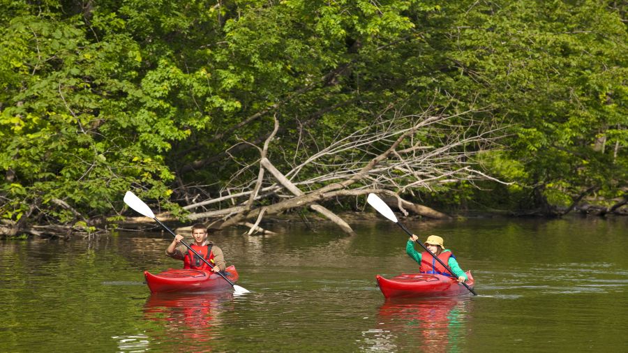 S’évader dans les bayous du parc national de Plaisance