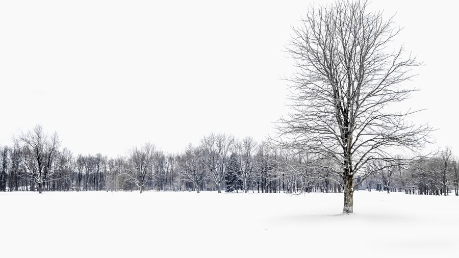 Piste des Berges : A fond les patins!