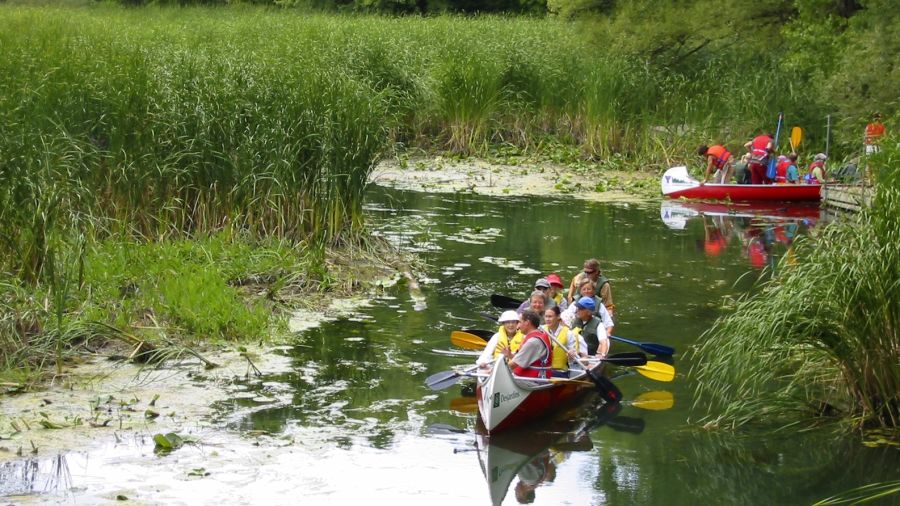  Balade sur la rivière des Prairies : Vogue petit bateau