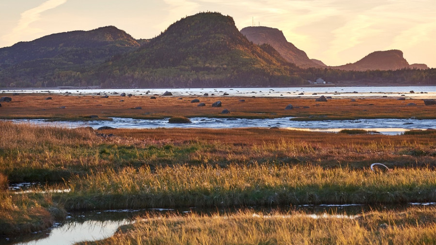 Parc national du Bic : 3 randonnées pour profiter des couleurs d'automne