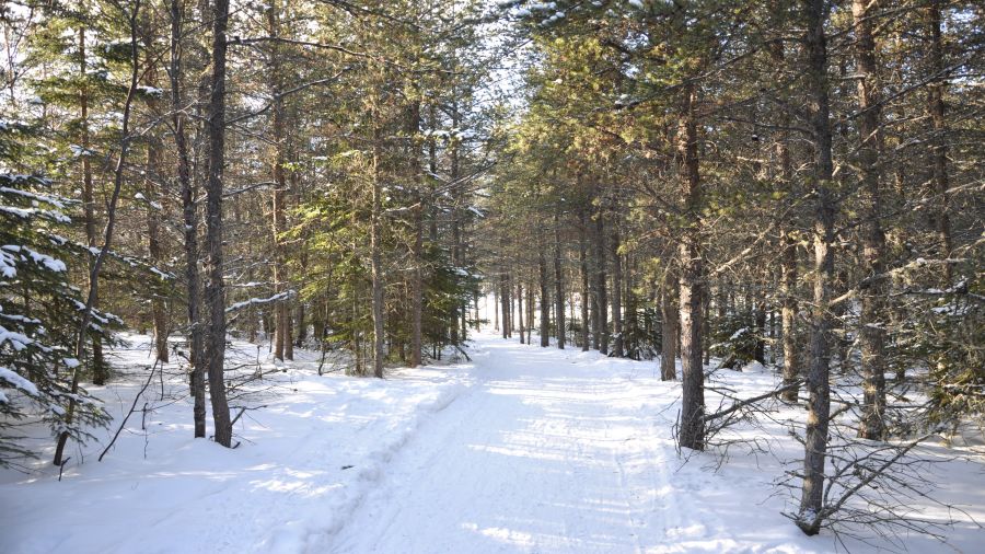 Parc des Campeurs : ça décampe! 