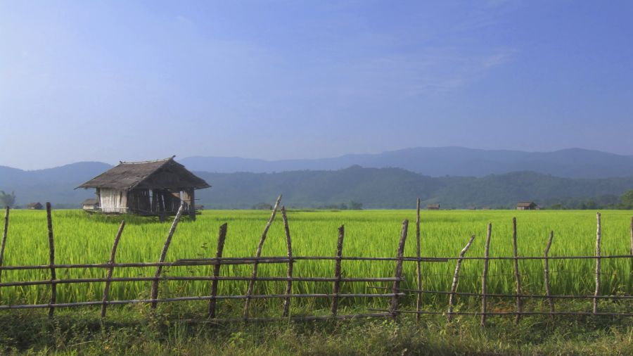 Randonnée au Laos : Vivre à un kilomètre à l’heure