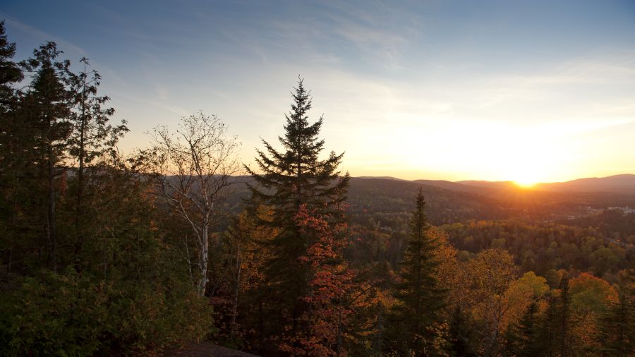  Camping coloré : Parc régional de la Forêt Ouareau