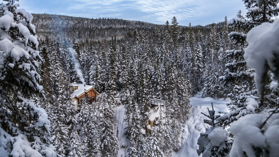 Forêt Montmorency : le joyau québécois de l’hiver