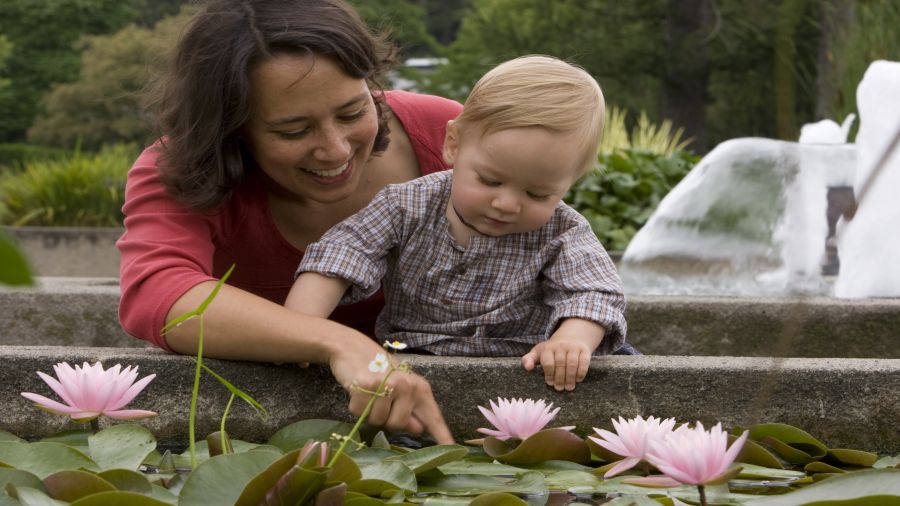 Observation de la faune : naturalistes en herbe