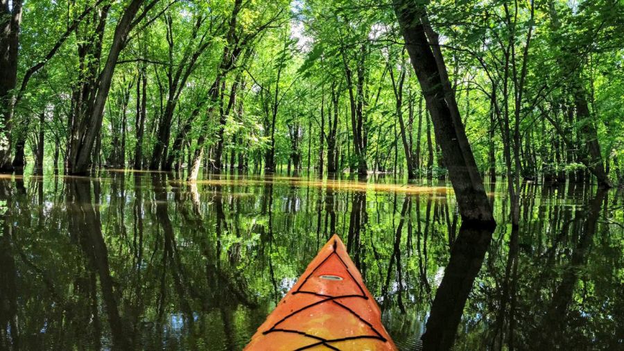 Parc de la Rivière-des- Mille-Iles : en kayak dans les bayous