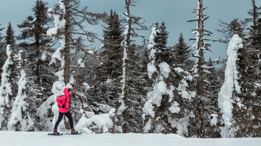 Stimuler son système immunitaire en hiver