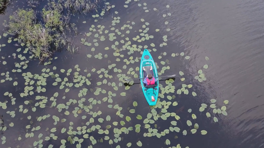 Vidéos : 4 excursions incontournables en kayak au Québec