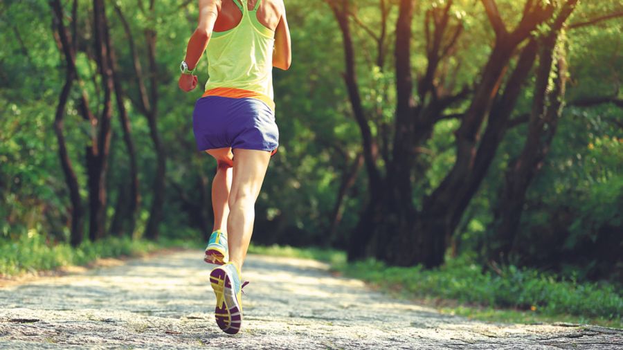 Course en sentier : 5 sentiers pour s’entrainer 