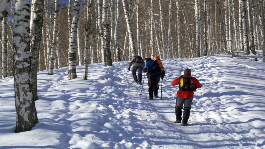 Réserve naturelle des Montagnes Vertes : Boucle en raquette