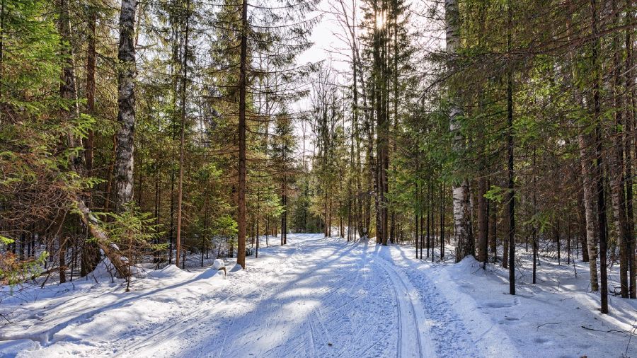 Parc régional de Saint-Bernard-de-Lacolle : L’insoupçonnable