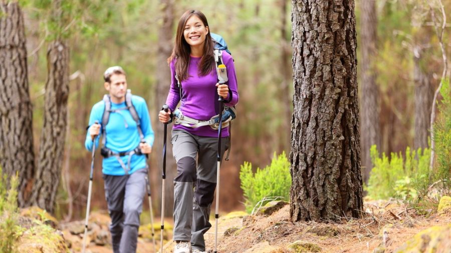 Randonnée : L’aventure au cœur de la Mauricie