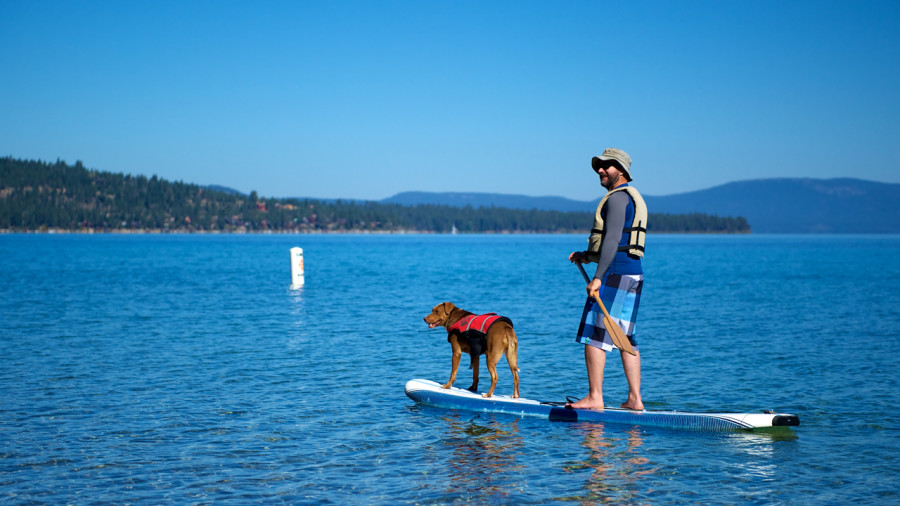 5 trucs pour faire du SUP avec son chien