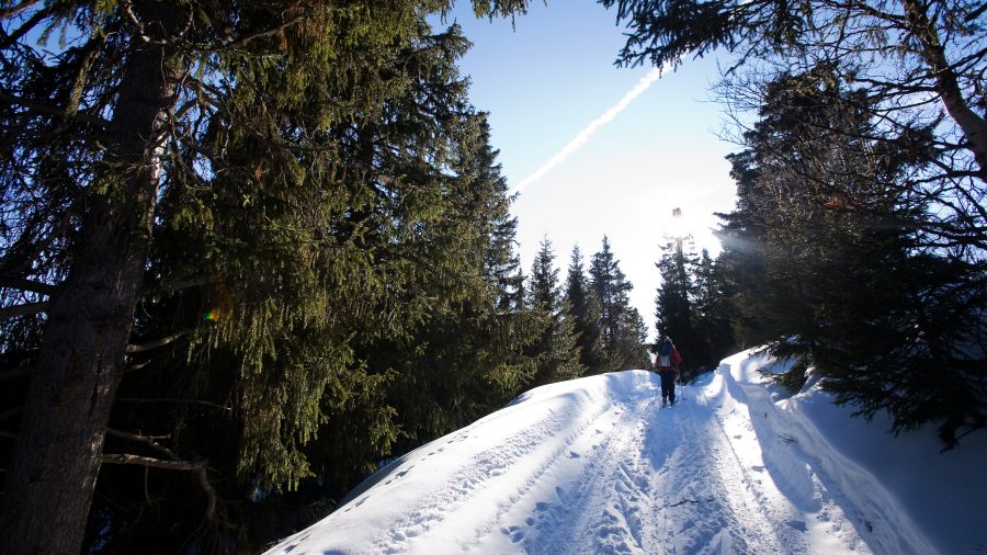 Trésors cachés de l’hiver : Ski de fond