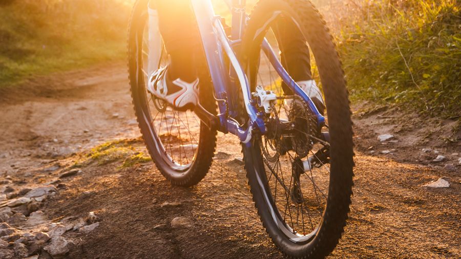 Vélo de montagne au centre-ville : des pistes pour Montréal