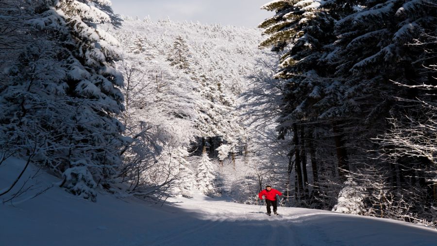 Réseau de ski de fond de Morin Heights - Corridor aérobique