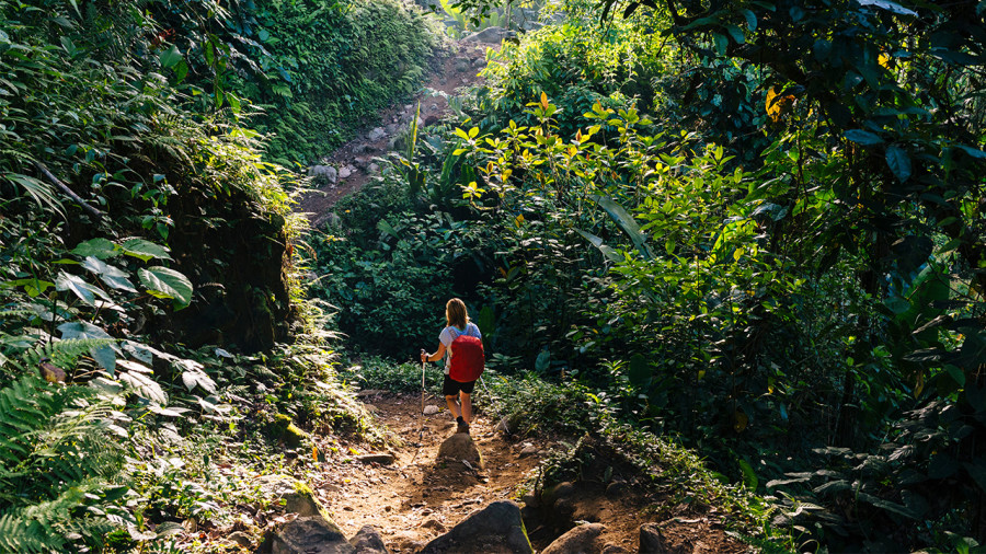 Trekking à la découverte de la Cité Perdue de Colombie